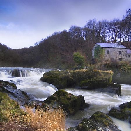 Garden Cottage Newcastle Emlyn Bagian luar foto