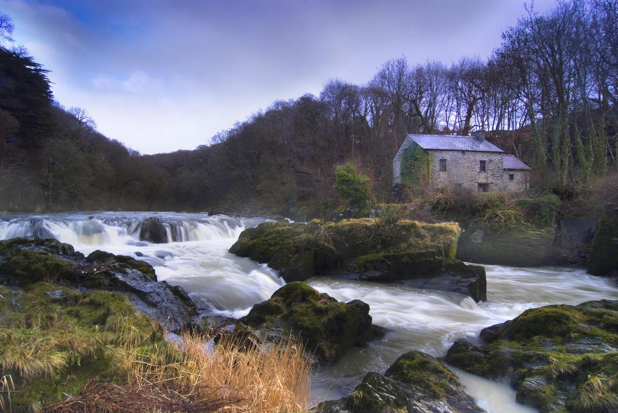 Garden Cottage Newcastle Emlyn Bagian luar foto